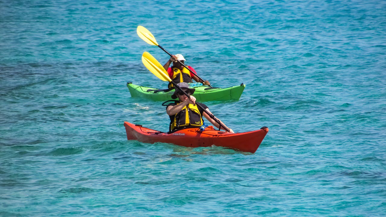 Sea Kayak Tour with Dolphins & Turtles