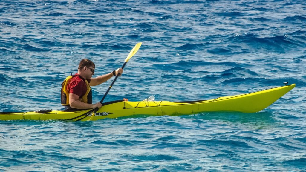 canoe kayak, athlete, effort-2895791.jpg