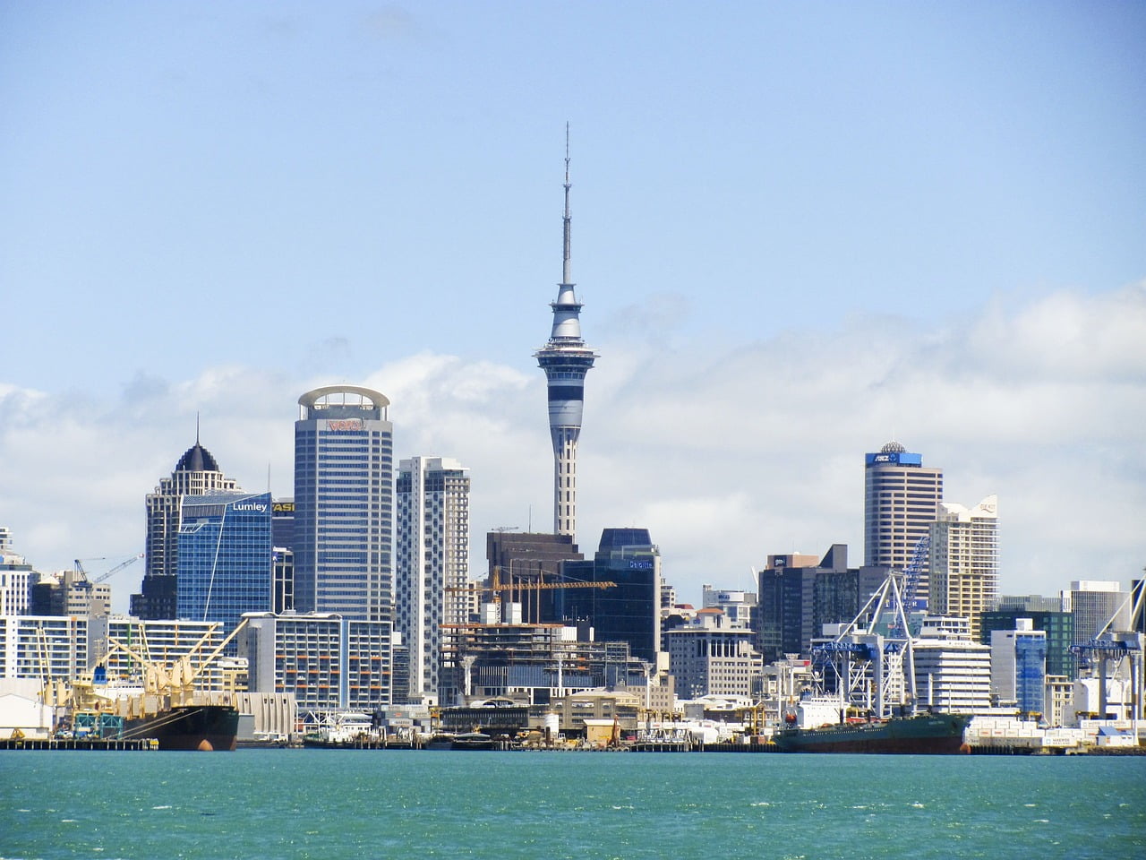 New Zealand City View